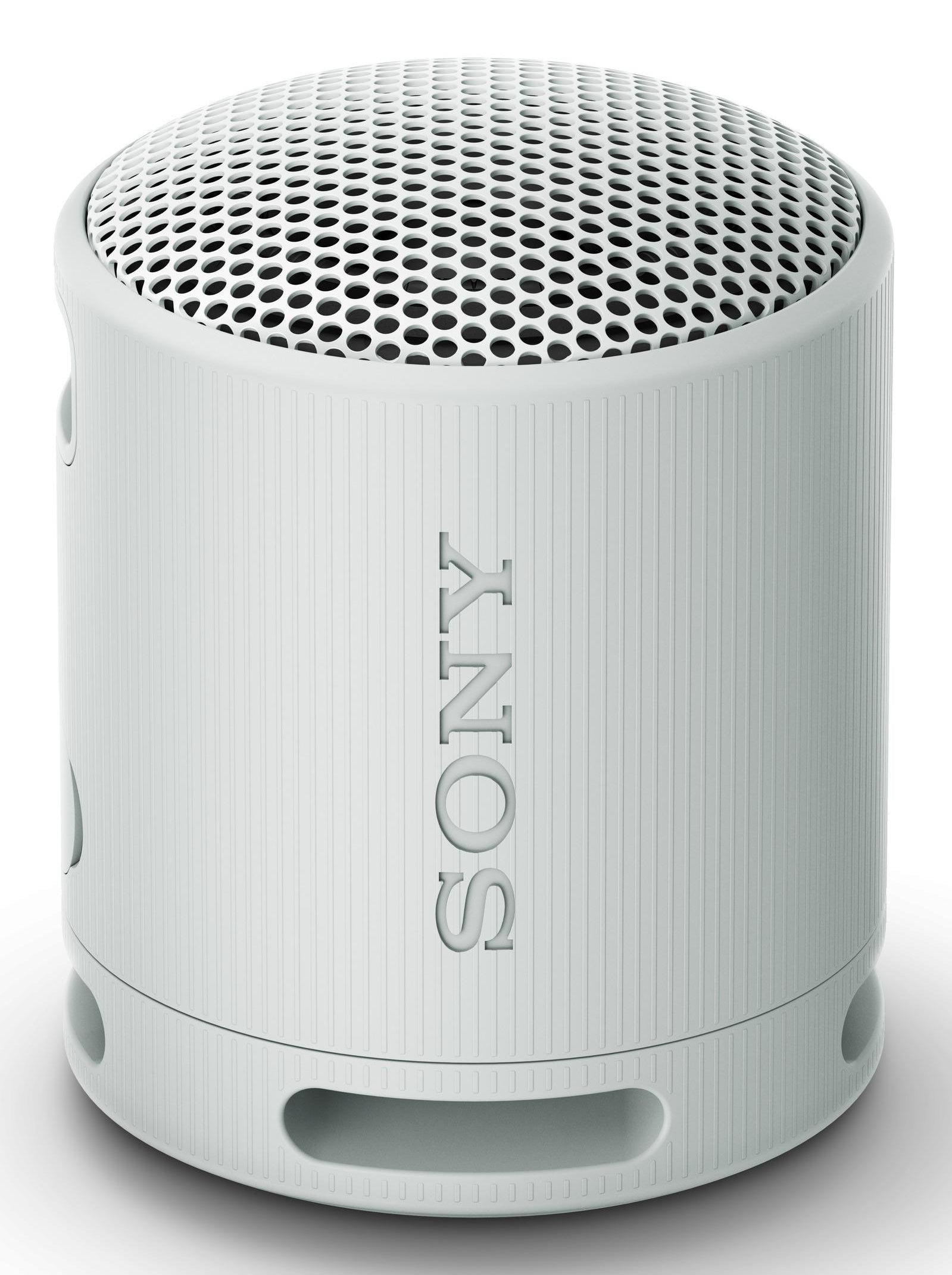 Haut-parleurs bluetooth portables Sony SRSXB100H Gris