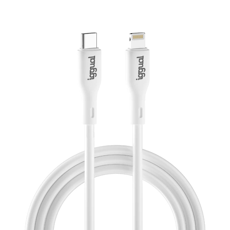 Câble USB-C vers Lightning iggual IGG317761
