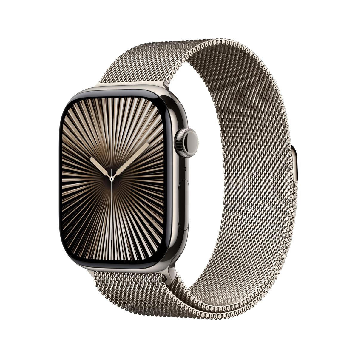 Men's Watch Apple MWYC3QL/A Titanium Steel