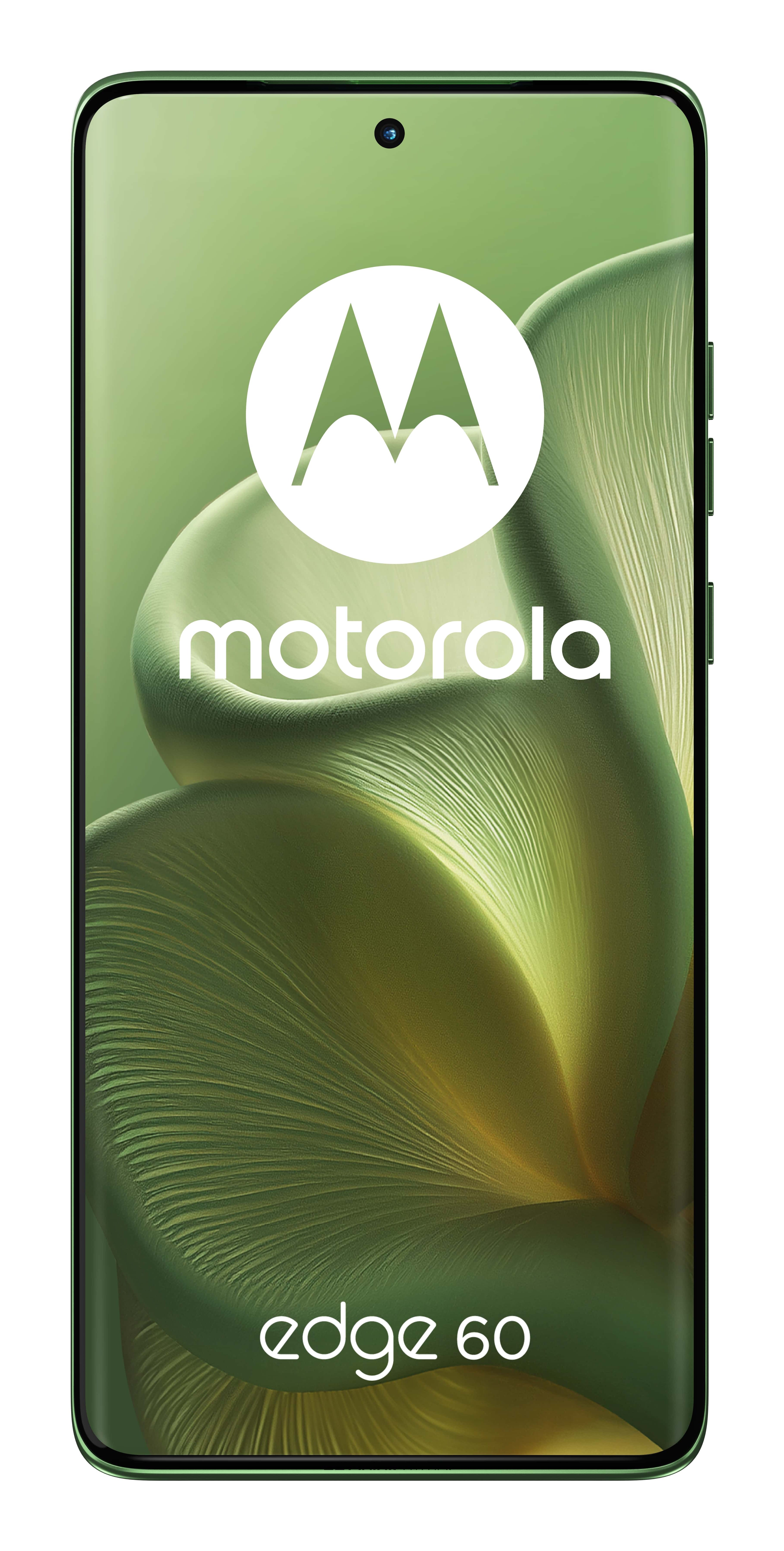 Smartphone Motorola XT2505-1 6,67" Octa Core 8 GB RAM 256 GB Vert