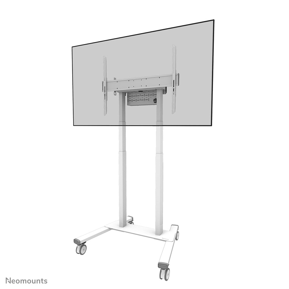 Support de TV Neomounts FL55-875WH1