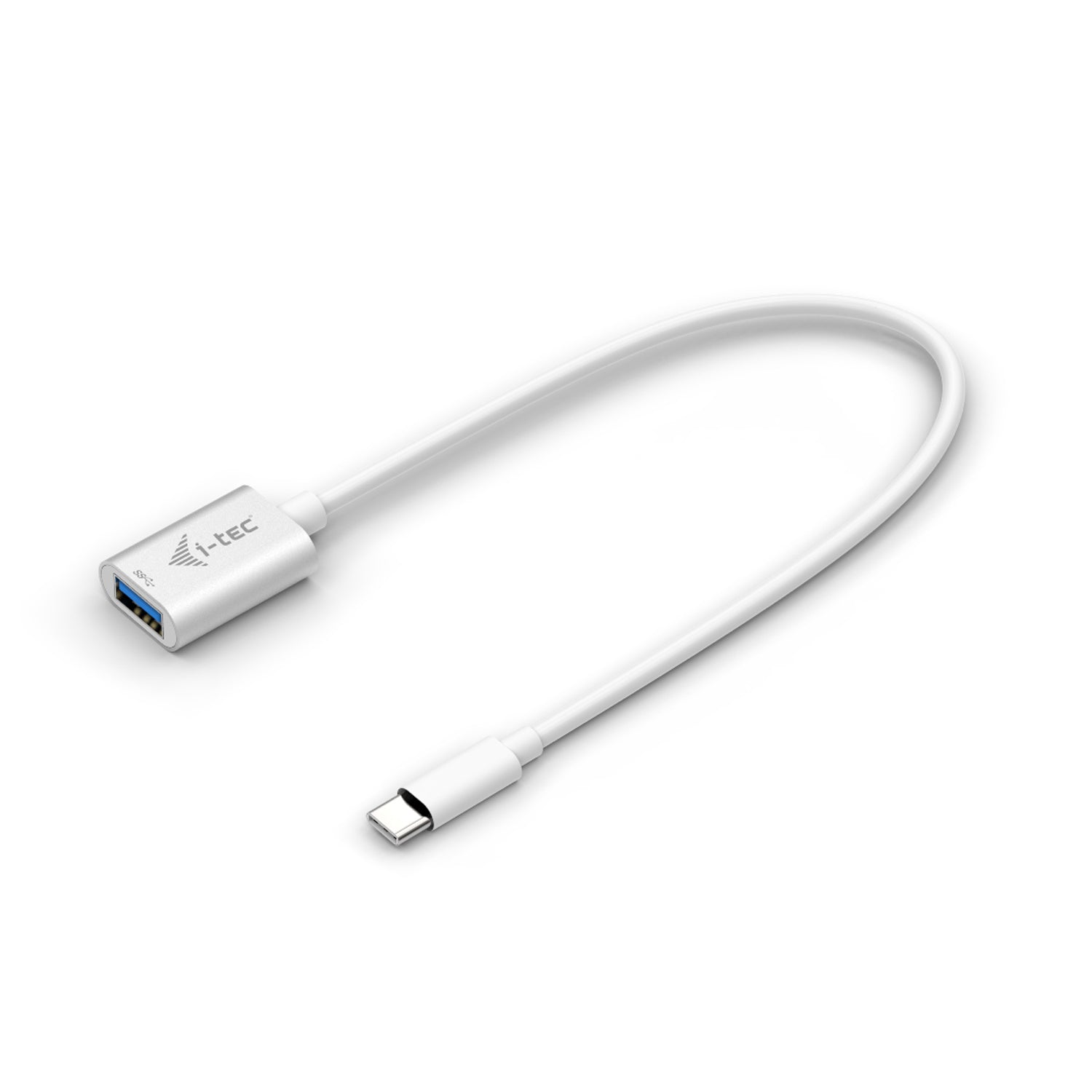 Câble USB A vers USB C i-Tec C31ADA 20 cm