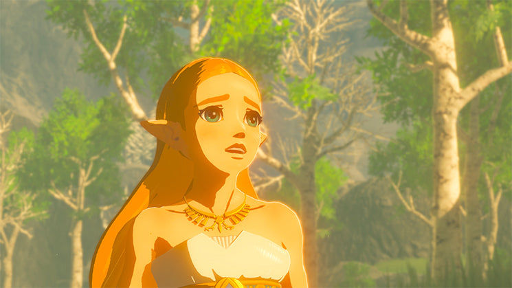 Jeu vidéo pour Switch Nintendo The Legend of Zelda : Breath of the Wil