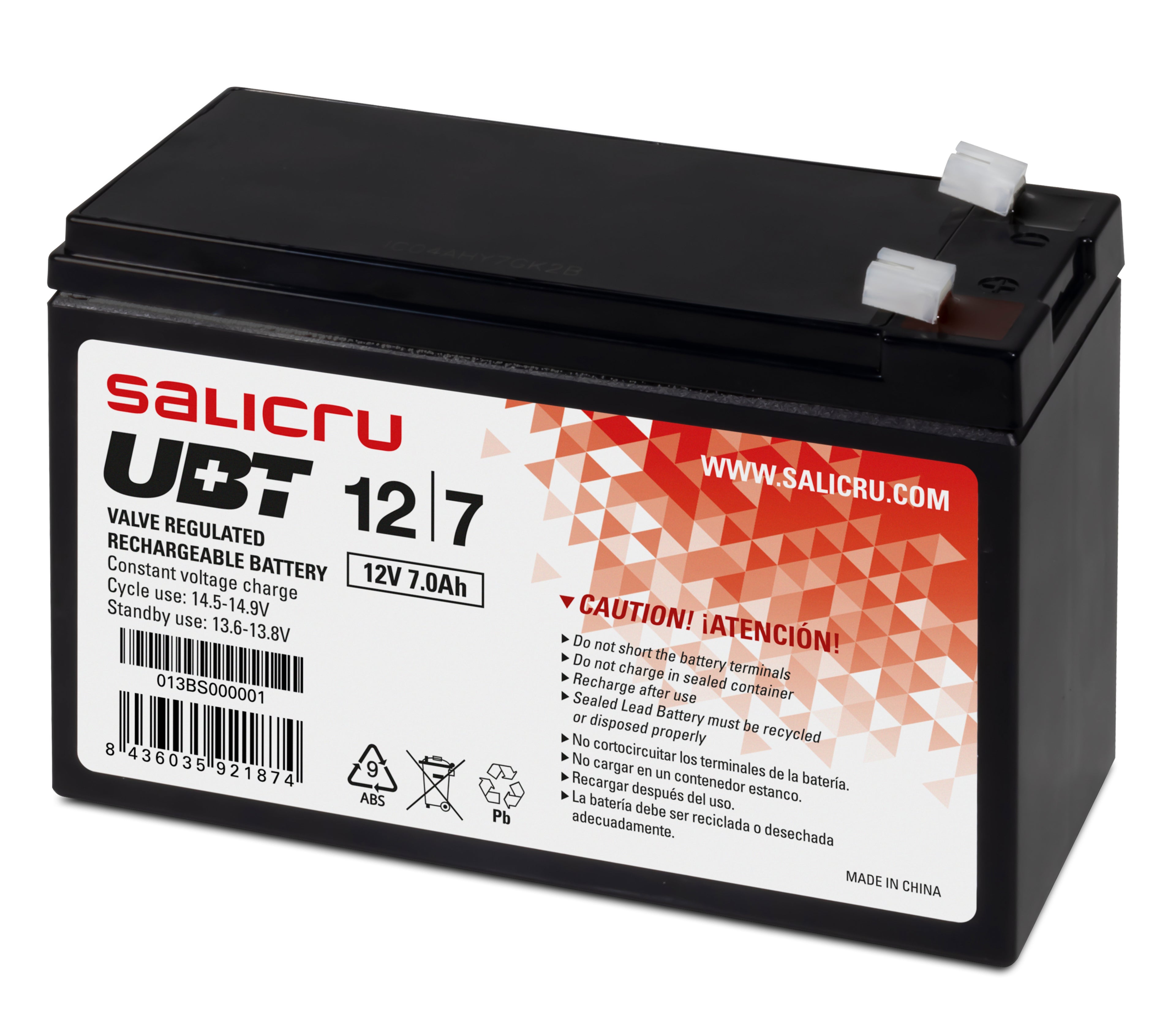 Batterie pour Système d'Alimentation Sans Interruption Salicru 013BS000001 12 V