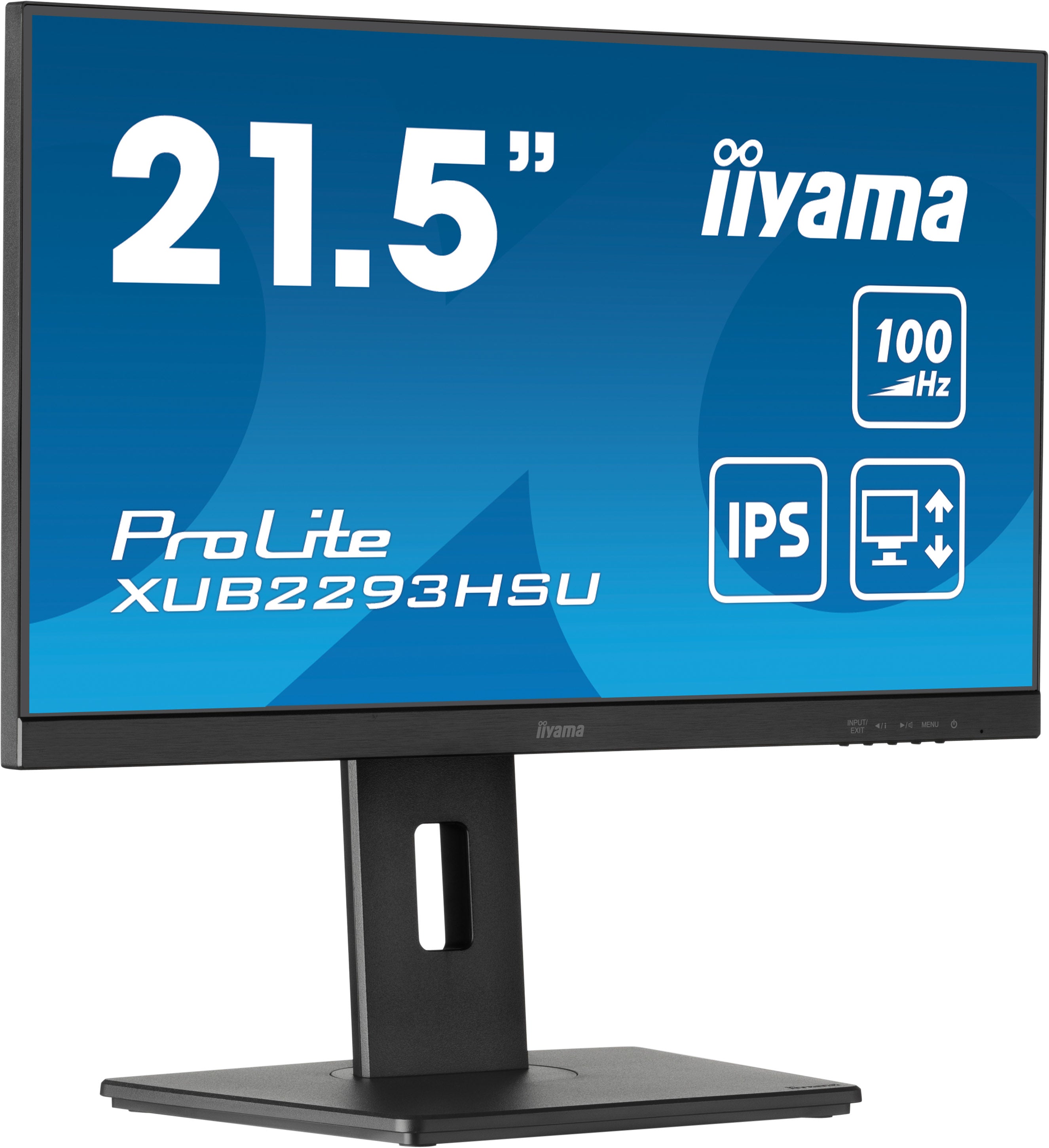 Ecran 22" IIYAMA XUB2293HSU-B7