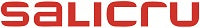 Système d'Alimentation Sans Interruption Interactif Salicru 663AA002252