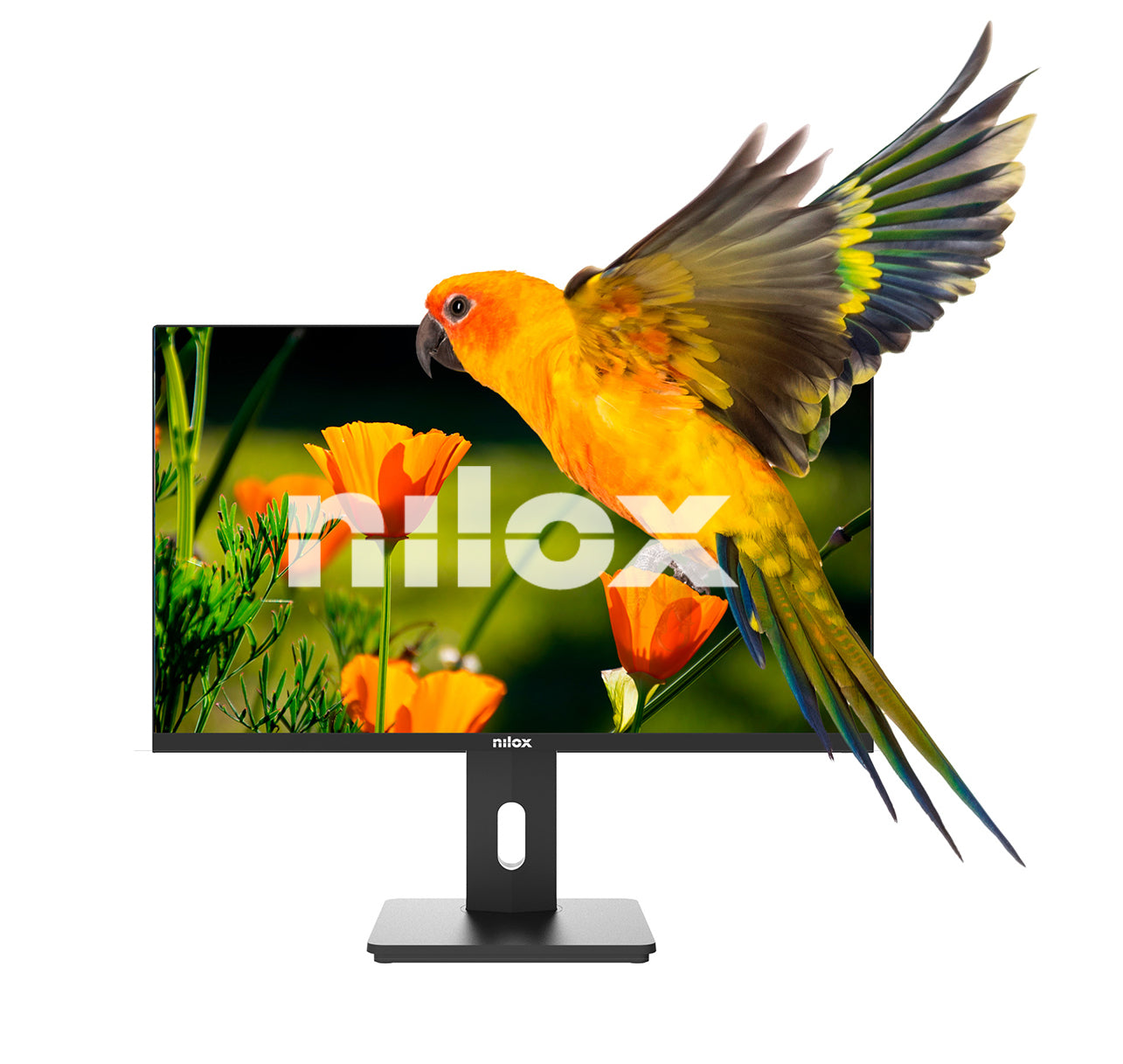 Écran Nilox NXM24REG02 Full HD 75 Hz
