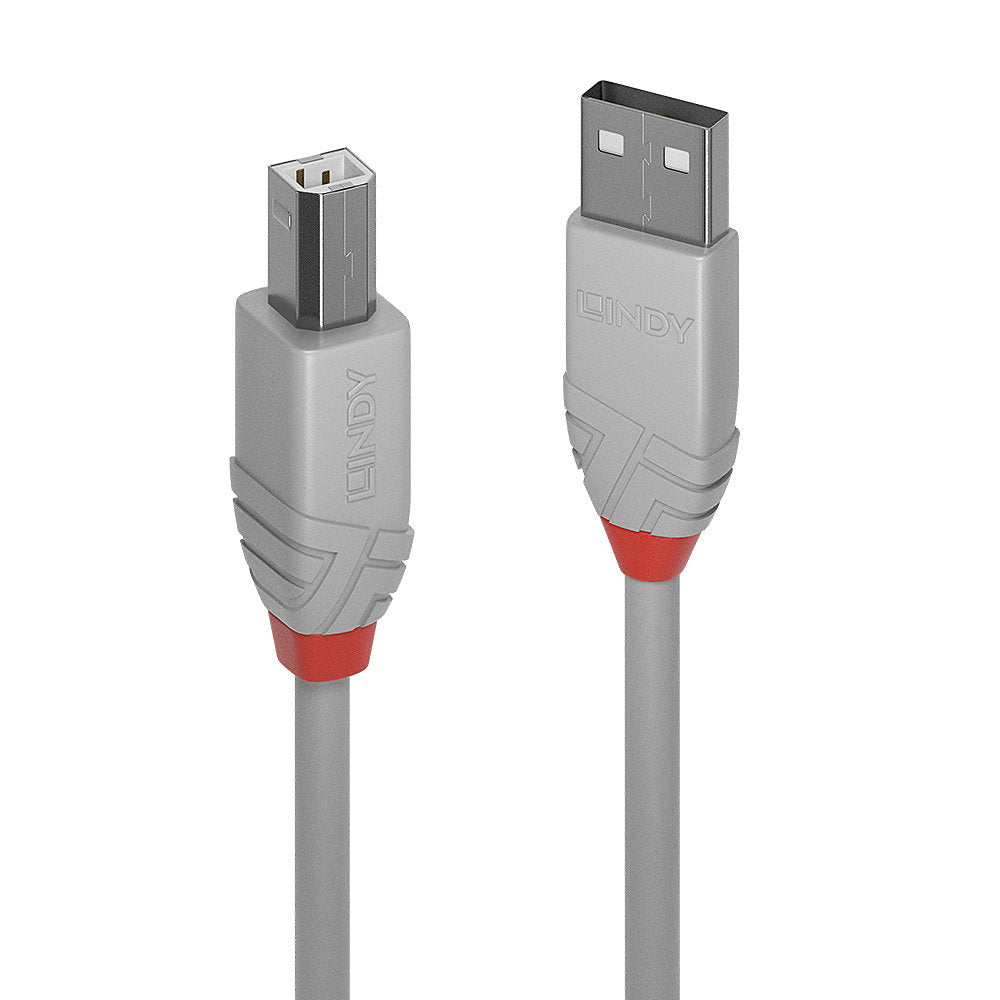 Cable Lindy Anthra Line USB-A/B 2.0 1m M/M (Gris/Rouge)