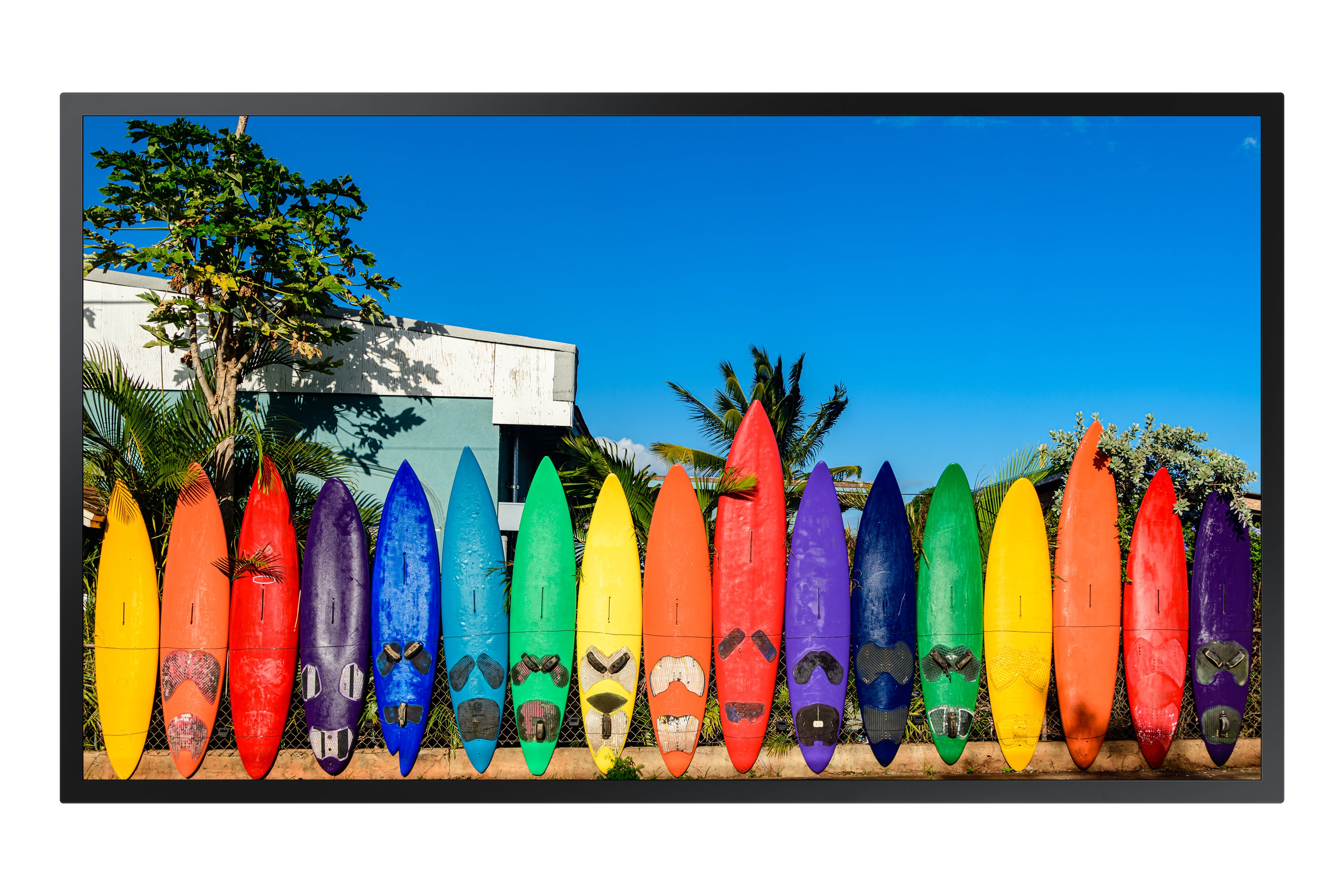Samsung OM55B - Classe de diagonale 55" OMB Series écran LCD rétro-éclairé par LED - signalisation numérique - Tizen OS - 4K UHD (2160p) 3840 x 2160