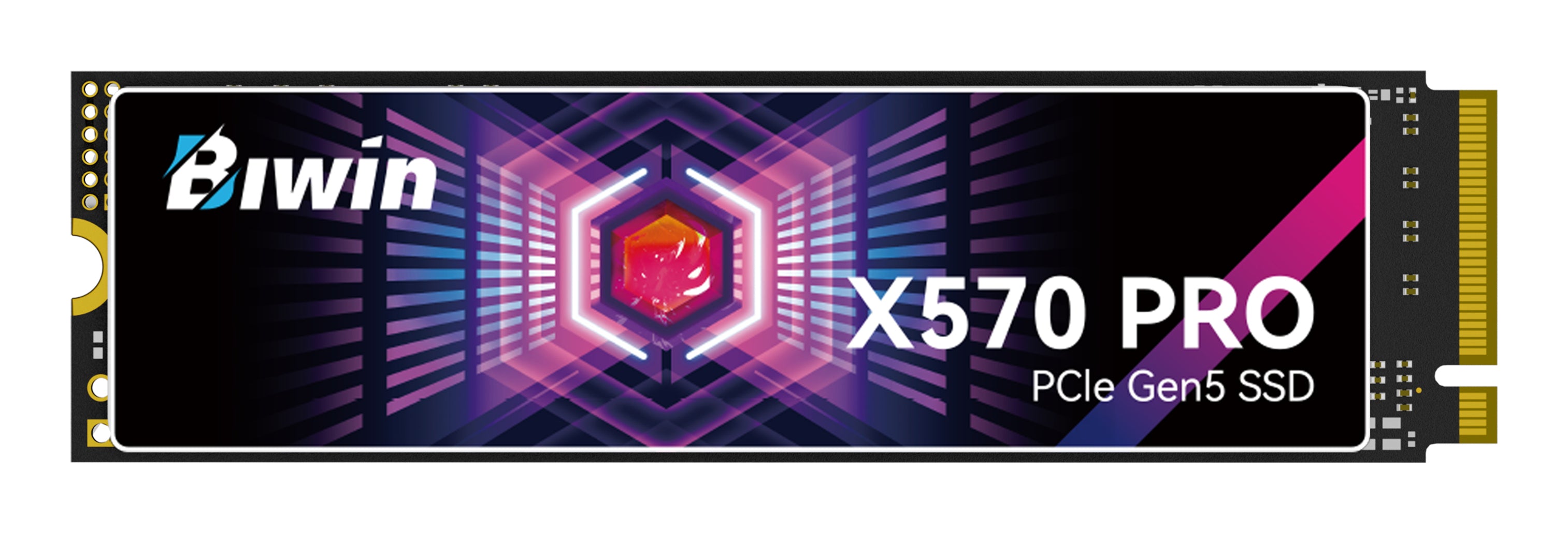 Disque dur Biwin X570 Pro 1 TB SSD