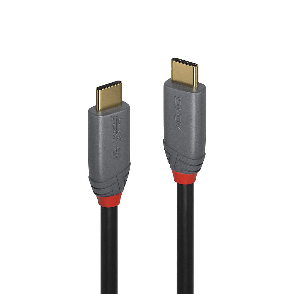 Câble USB C LINDY 36901 1 m