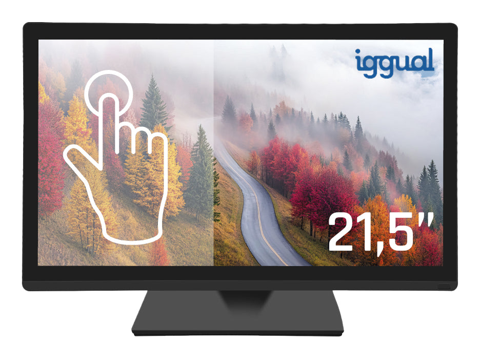 Écran iggual IGG319840 21,5" Full HD