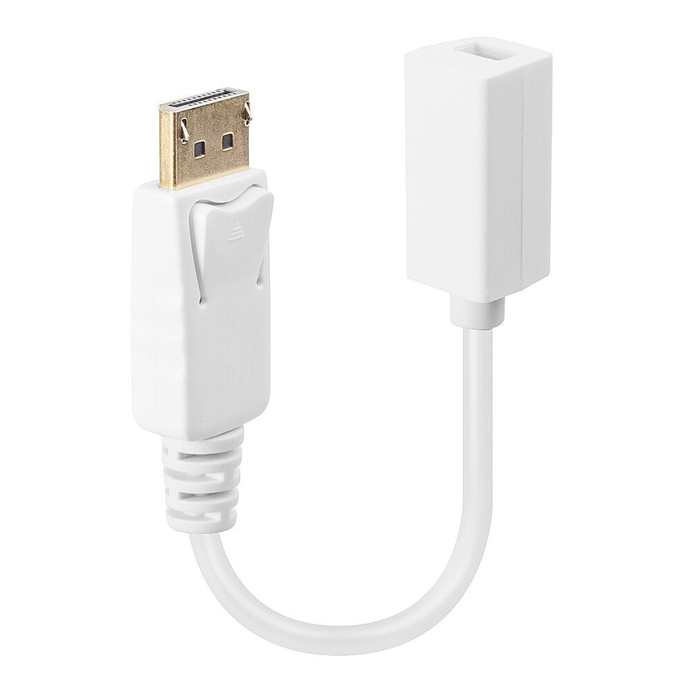 Adaptateur Mini DisplayPort vers DisplayPort LINDY 41060 Blanc