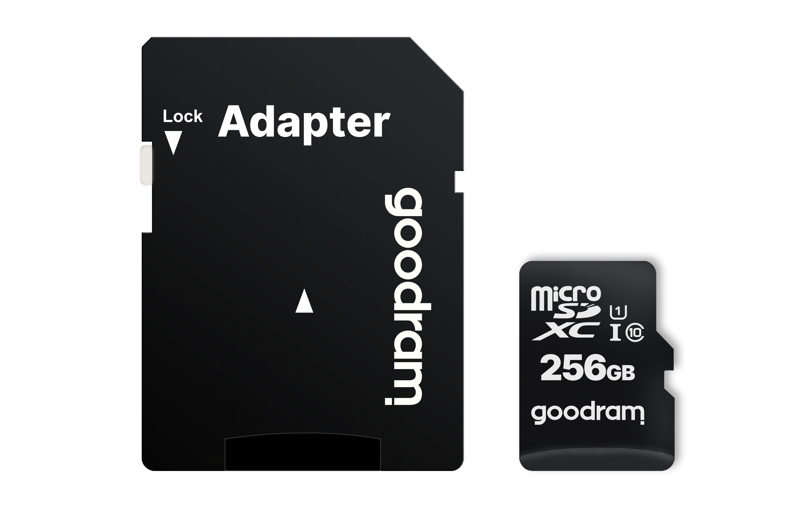 Carte Micro SD GoodRam M1AA-2560R12 Noir 256 GB
