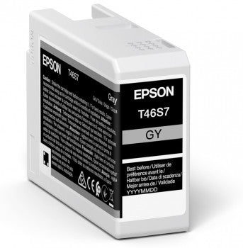 Cartouche d'encre originale Epson C13T46S700 25 ml Noir Gris