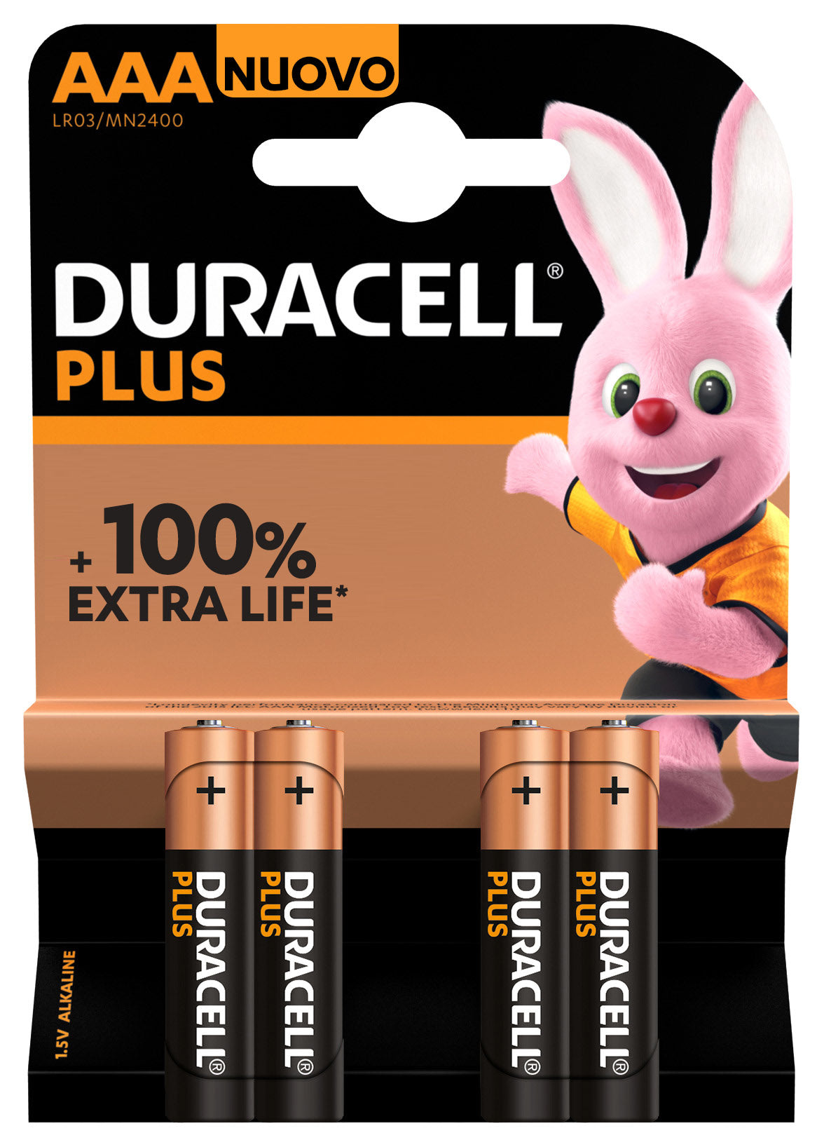 Pile Alcaline DURACELL AAA 1,5 V