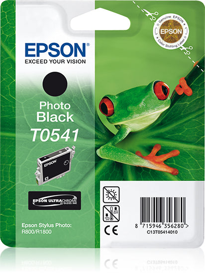 Cartouche d'encre originale Epson Cartucho T0541 negro foto Noir