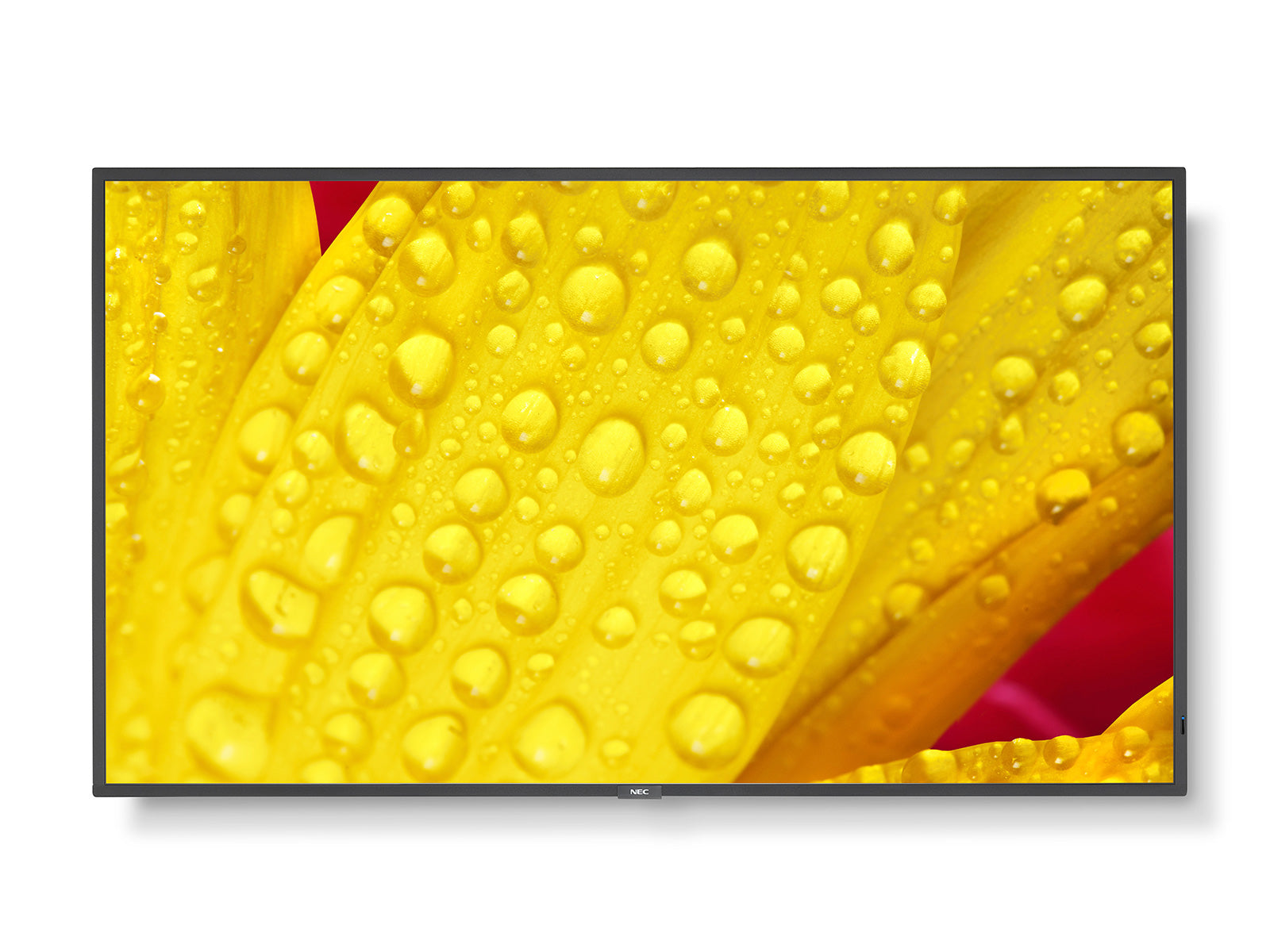 NEC MultiSync ME501 - Classe de diagonale 50" ME Series écran LCD rétro-éclairé par LED - signalisation numérique - 4K UHD (2160p) 3840 x 2160 - LED à éclairage direct - pantone 426M