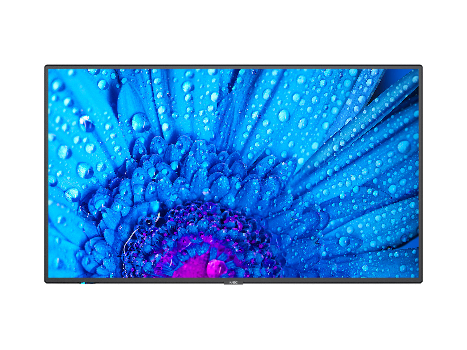 NEC MultiSync M651 - Classe de diagonale 65" M Series écran LCD rétro-éclairé par LED - signalisation numérique - 4K UHD (2160p) 3840 x 2160 - LED à éclairage direct - noir