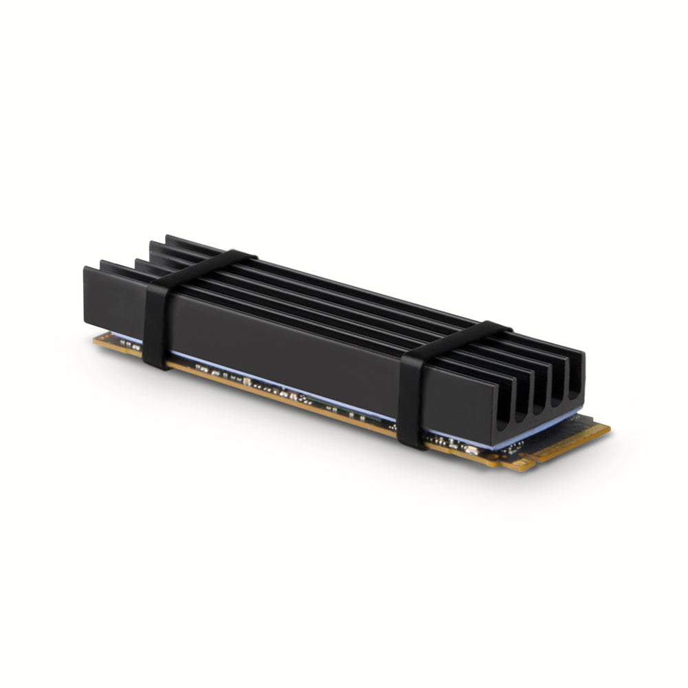 Dissipateur thermique pour SSD M.2 2280 Axagon CLR-M2L10 (Noir)