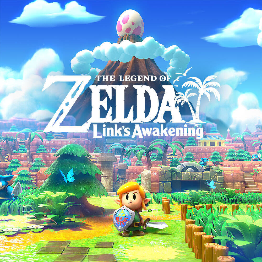 Jeu vidéo pour Switch Nintendo The Legend of Zelda: Link's Awakening (FR)
