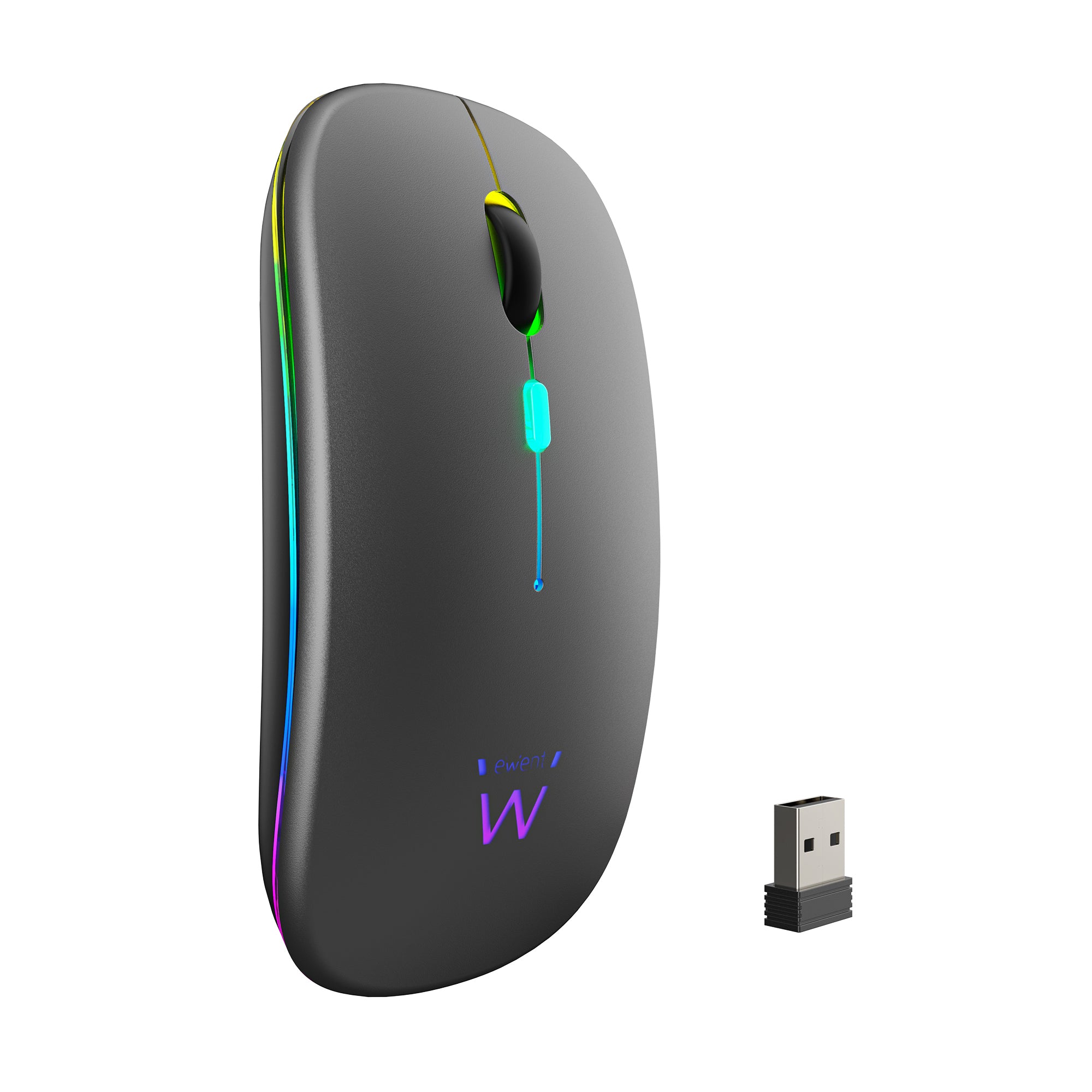 Souris Ewent EW3242 Noir Gris 1600 dpi