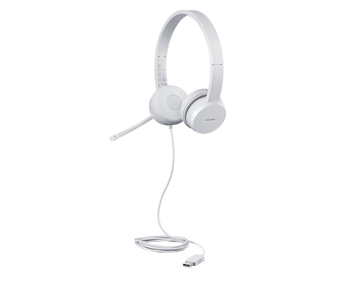 Casques avec Microphone Lenovo GXD1E71385 Gris