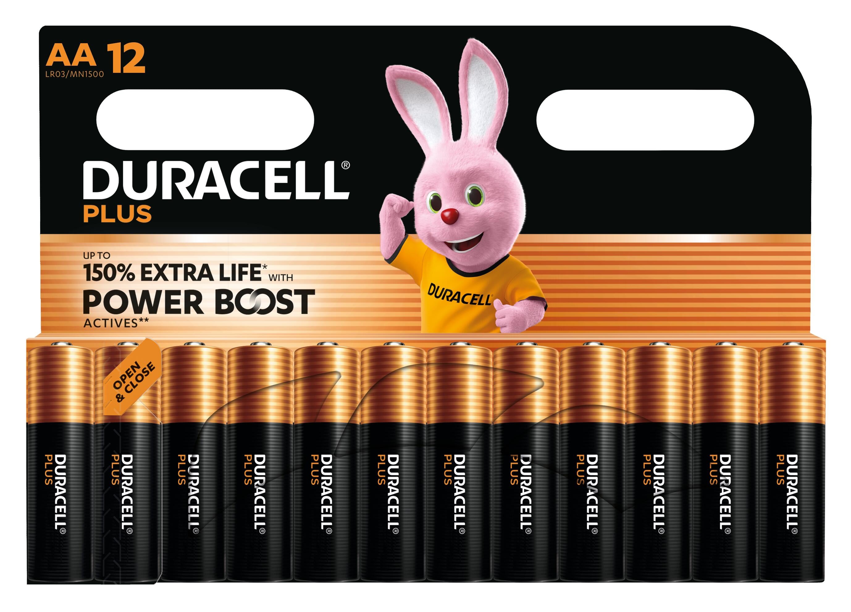 Piles Rechargeables DURACELL DPBLR6B12 1,5 V