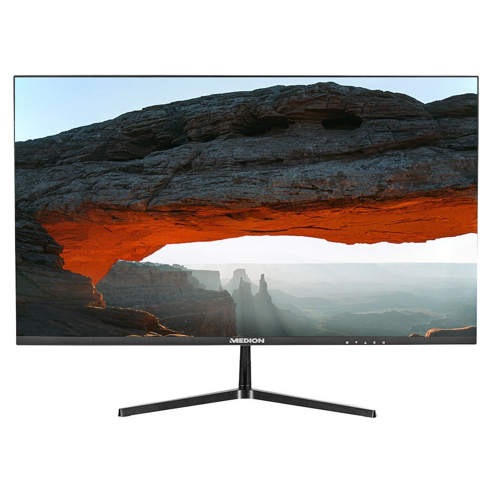 Écran Medion 30036272 Full HD LCD 22"