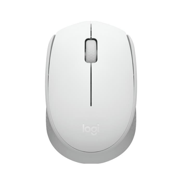 Souris Logitech M171
