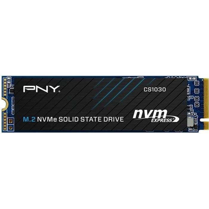 Disque dur PNY M280CS1030-250-RB