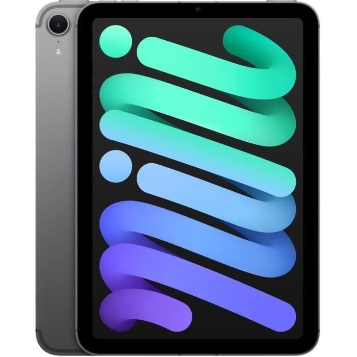 Apple iPad mini A17 Pro Wi-Fi + Cellular - Tablette - 128 Go - 8.3" IPS (2266 x 1488) - 3G, 4G, 5G - gris sidéral