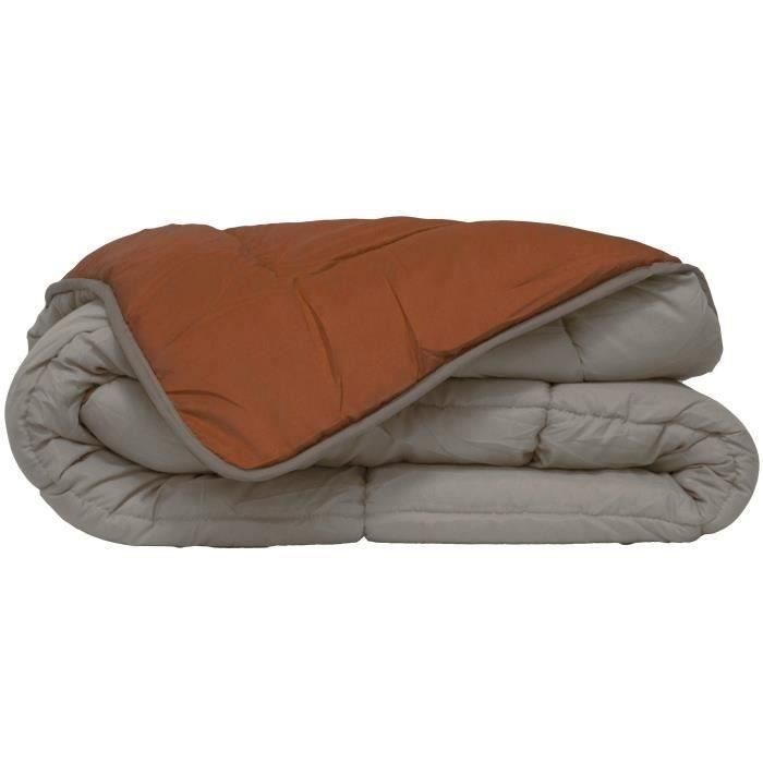 POYET MOTTE Couette Microfibre 400g/m² CALGARY - 140 x 200 cm - Gris galet et Marron gimgembre