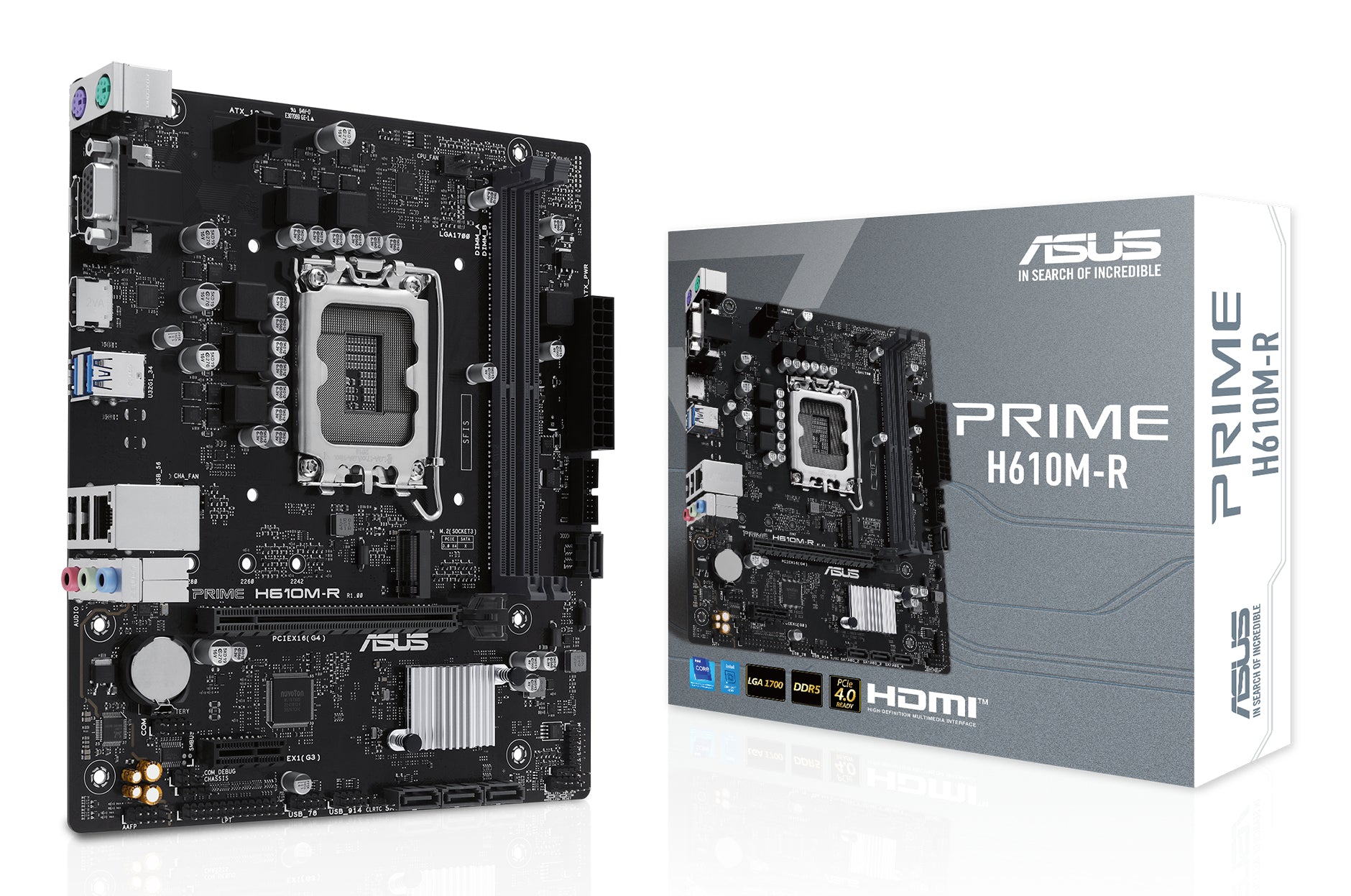 Carte Mère Asus 90MB1GL0-M0ECY0 H610 LGA 1700