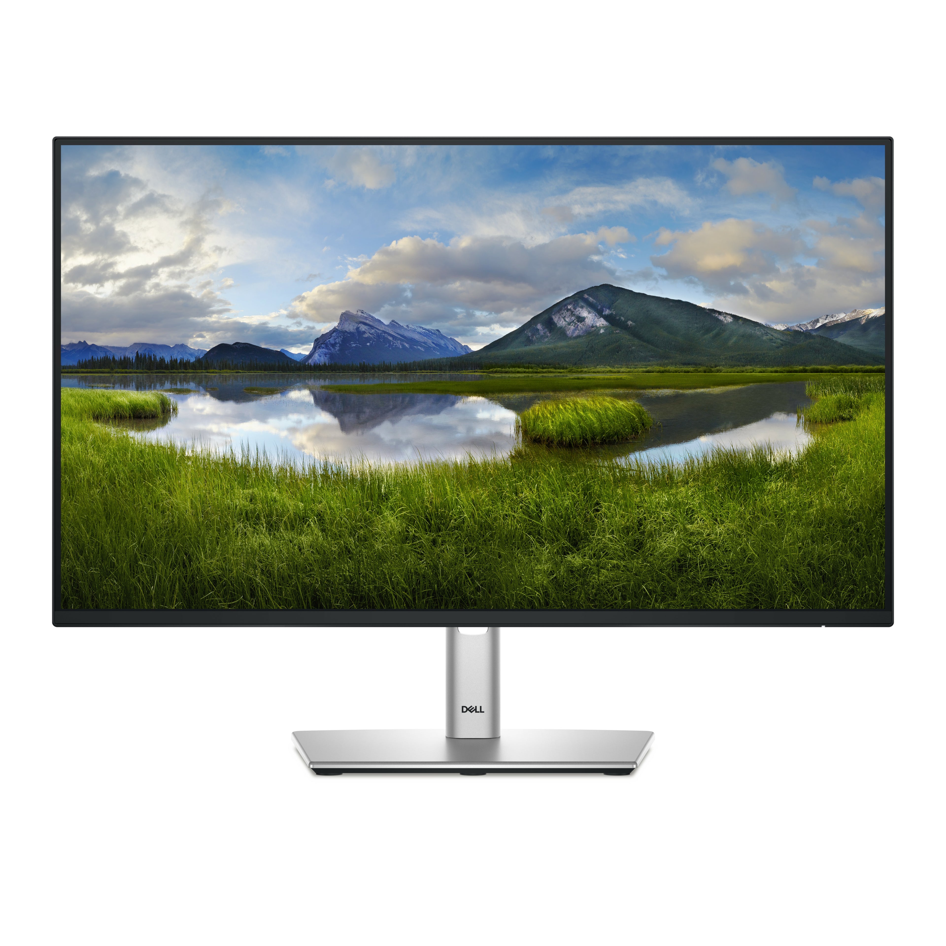 Écran Dell P2425H 23,8" Full HD 100 Hz