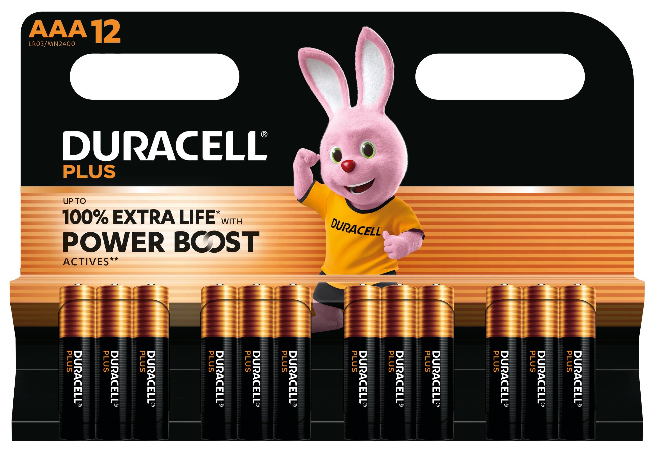 Piles Rechargeables DURACELL DPBLR3B12 1,5 V AAA