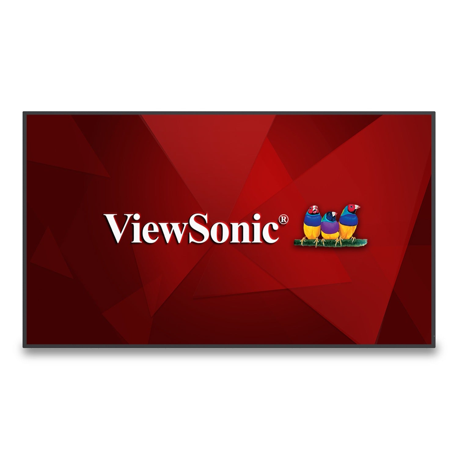ViewSonic CDE6530 - Classe de diagonale 65" CDE30 Series écran LCD rétro-éclairé par LED - signalisation numérique - Android - 4K UHD (2160p) 3840 x 2160