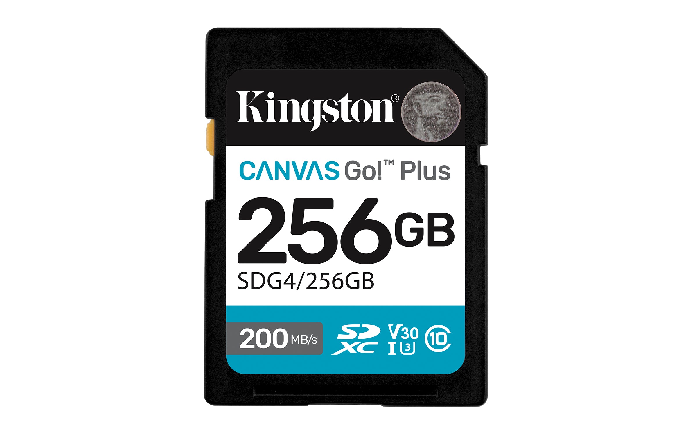 Carte Mémoire Micro SD avec Adaptateur Kingston SDG4/256GB 256 GB