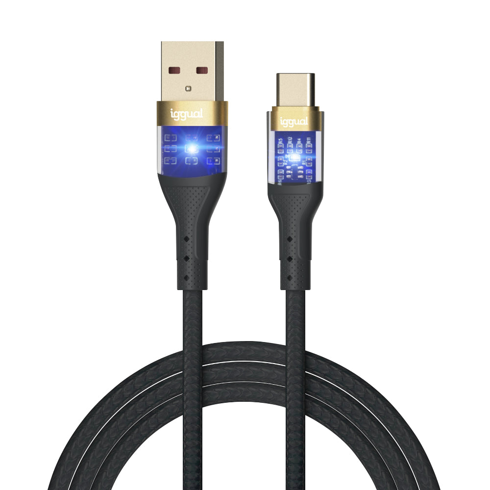 Câble USB A vers USB-C iggual IGG319994 Noir